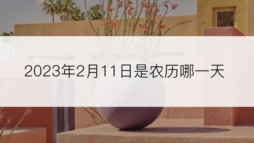 2023年2月11日是农历哪一天