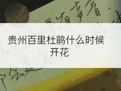 贵州百里杜鹃什么时候开花