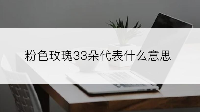 粉色玫瑰33朵代表什么意思