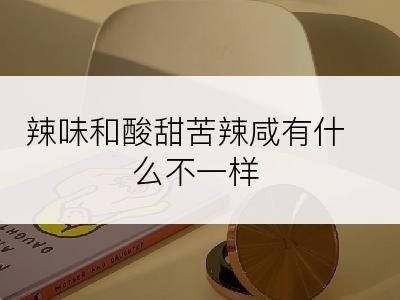 辣味和酸甜苦辣咸有什么不一样