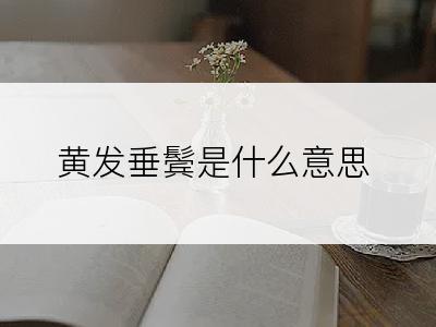 黄发垂鬓是什么意思