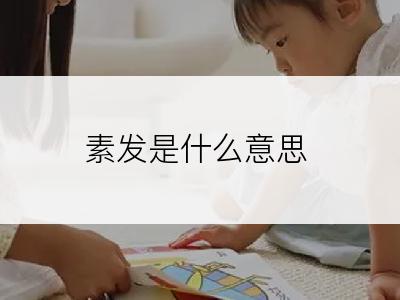 素发是什么意思