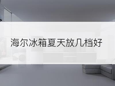 海尔冰箱夏天放几档好