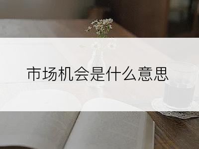 市场机会是什么意思