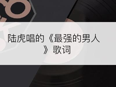 陆虎唱的《最强的男人》歌词