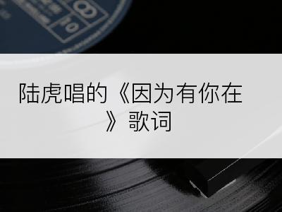 陆虎唱的《因为有你在》歌词