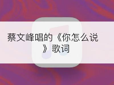 蔡文峰唱的《你怎么说》歌词