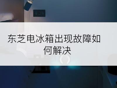 东芝电冰箱出现故障如何解决