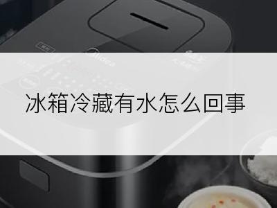 冰箱冷藏有水怎么回事