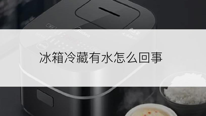 冰箱冷藏有水怎么回事