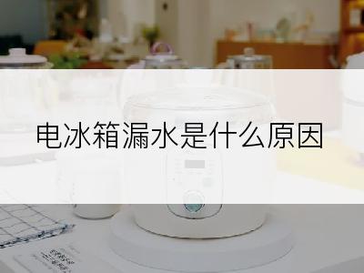 电冰箱漏水是什么原因