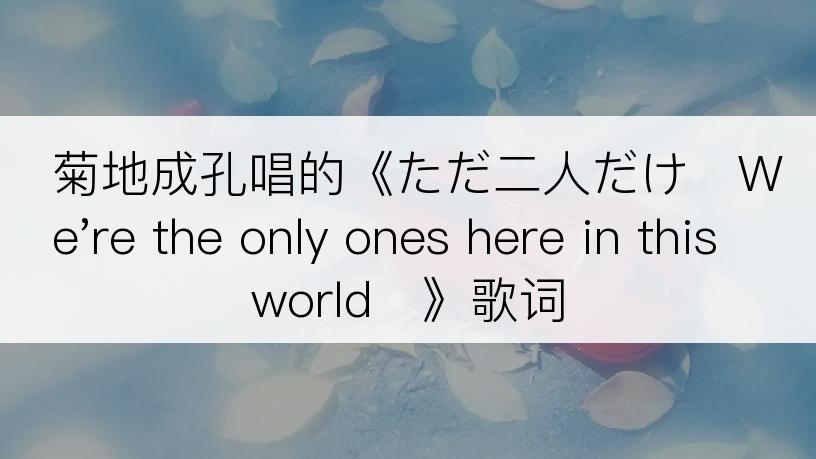 菊地成孔唱的《ただ二人だけ〜We're the only ones here in this world〜》歌词