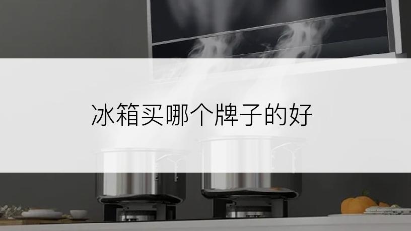 冰箱买哪个牌子的好