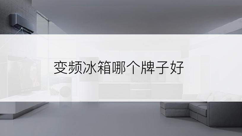 变频冰箱哪个牌子好