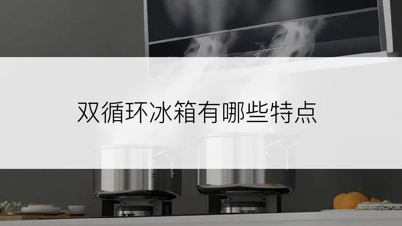 双循环冰箱有哪些特点