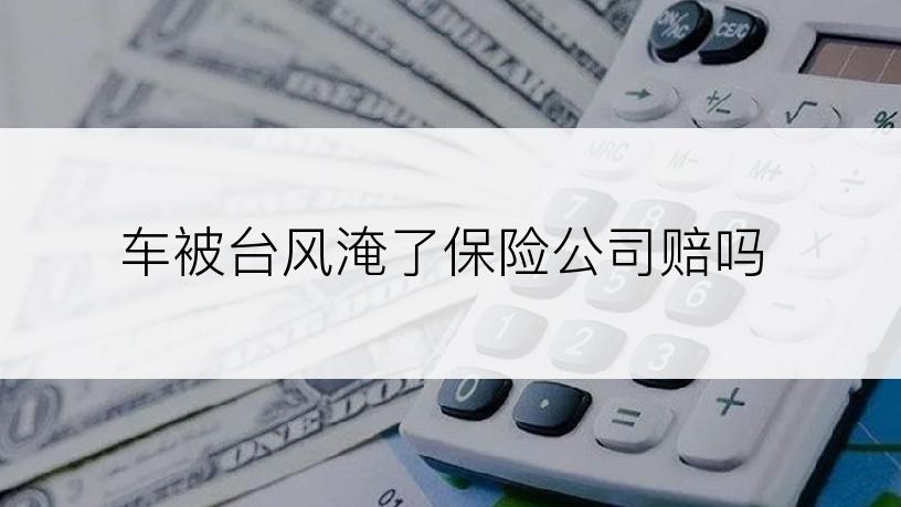 车被台风淹了保险公司赔吗