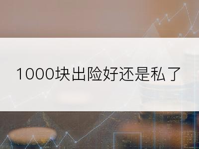 1000块出险好还是私了