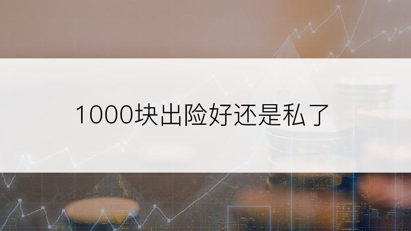 1000块出险好还是私了