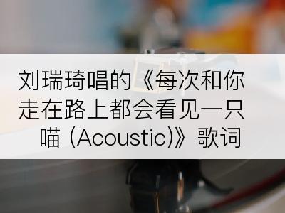 刘瑞琦唱的《每次和你走在路上都会看见一只喵 (Acoustic)》歌词