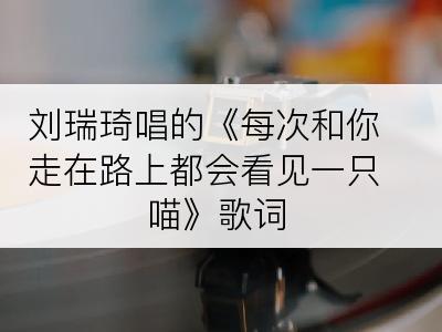 刘瑞琦唱的《每次和你走在路上都会看见一只喵》歌词