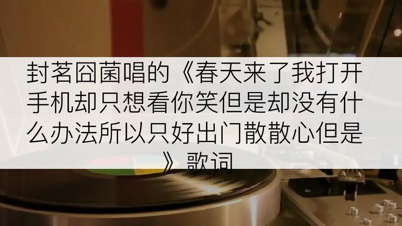 封茗囧菌唱的《春天来了我打开手机却只想看你笑但是却没有什么办法所以只好出门散散心但是》歌词