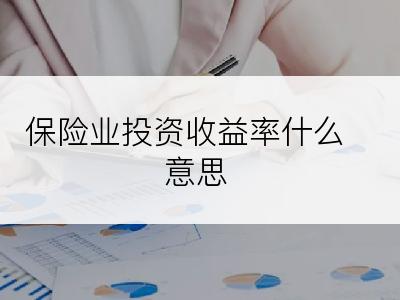 保险业投资收益率什么意思