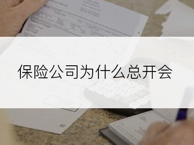 保险公司为什么总开会