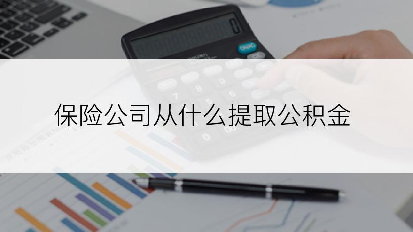 保险公司从什么提取公积金