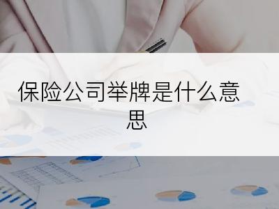 保险公司举牌是什么意思