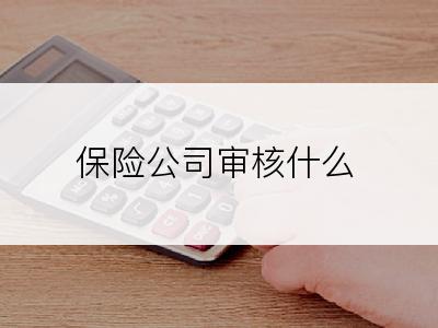 保险公司审核什么