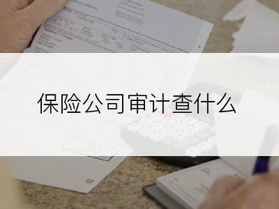 保险公司审计查什么