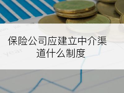 保险公司应建立中介渠道什么制度