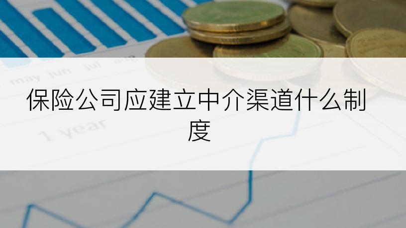 保险公司应建立中介渠道什么制度