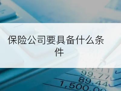 保险公司要具备什么条件