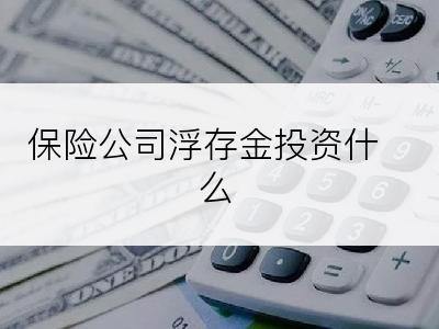 保险公司浮存金投资什么