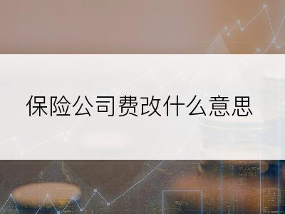 保险公司费改什么意思