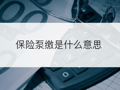 保险泵缴是什么意思