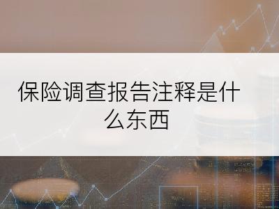 保险调查报告注释是什么东西