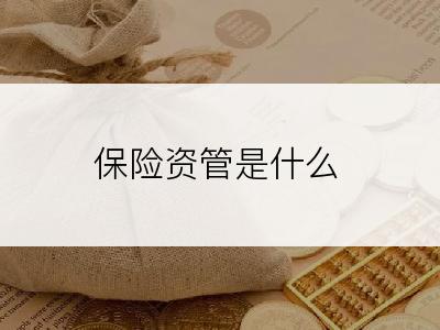 保险资管是什么