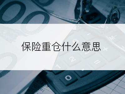 保险重仓什么意思