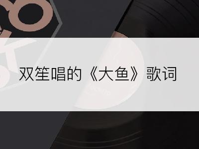 双笙唱的《大鱼》歌词