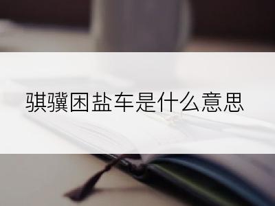 骐骥困盐车是什么意思