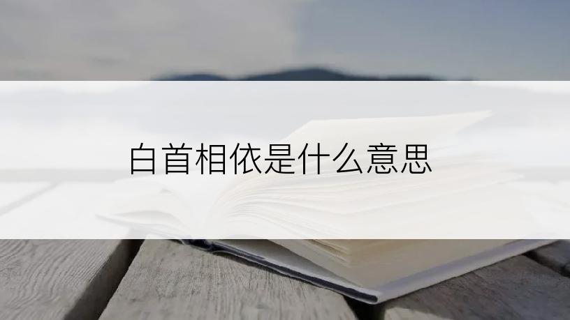 白首相依是什么意思