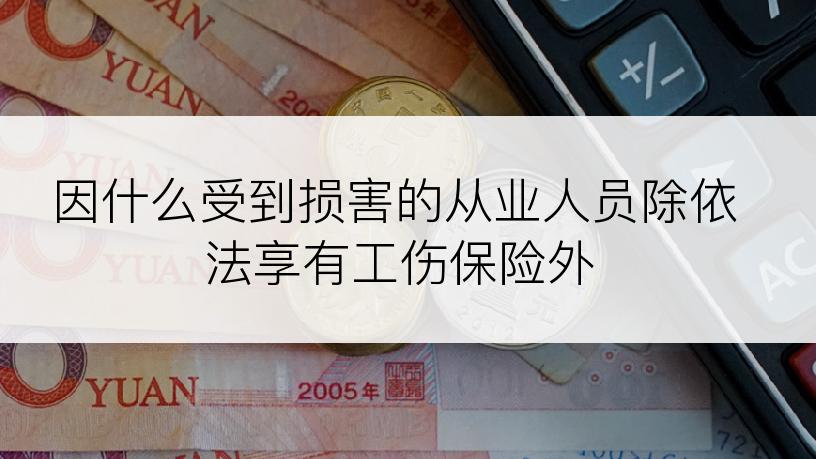 因什么受到损害的从业人员除依法享有工伤保险外