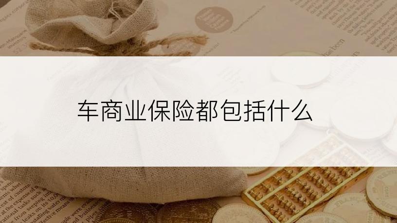 车商业保险都包括什么