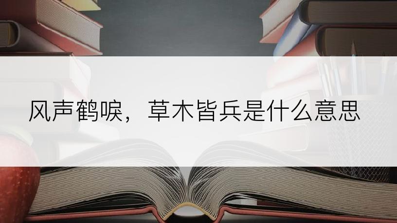 风声鹤唳，草木皆兵是什么意思