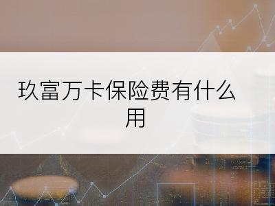 玖富万卡保险费有什么用