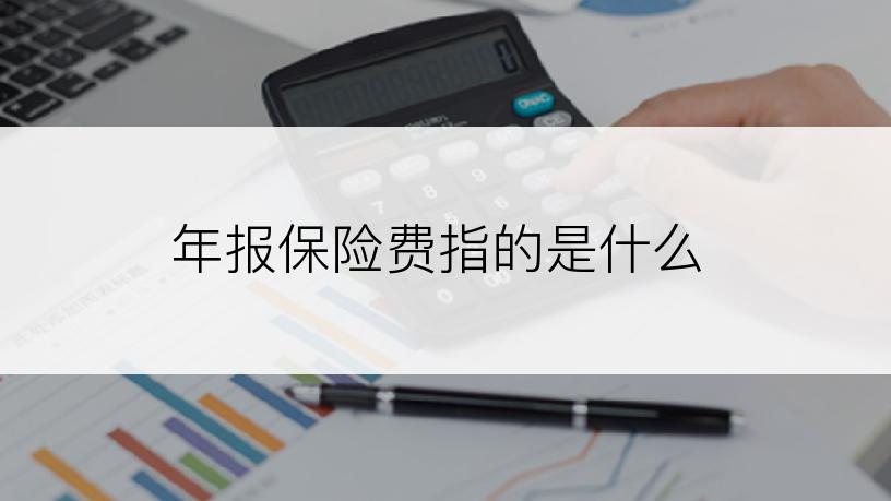 年报保险费指的是什么