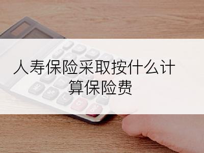 人寿保险采取按什么计算保险费