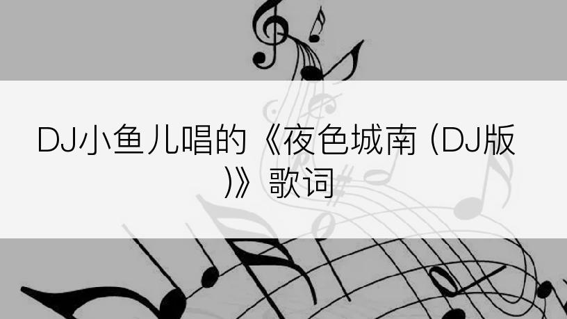 DJ小鱼儿唱的《夜色城南 (DJ版)》歌词